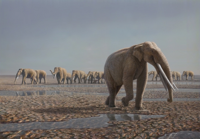 将灭绝的斯托特泰拉达登群从化石证据重建