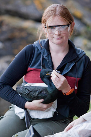 埃莉·欧文博士抱着一只成年雄性沙格，它最近安装了GPS跟踪器作为F.A.M.E项目的一部分。艾莉戴着护眼器，因为如果有机会，这只鸟很可能会咬她的眼睛!