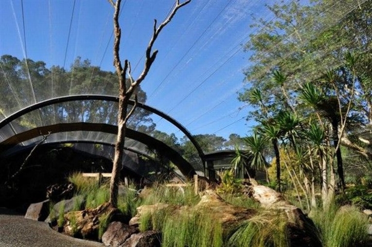 奥克兰动物园抓住了新西兰人的天性