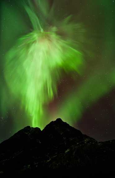 挪威克瓦罗亚的北极光