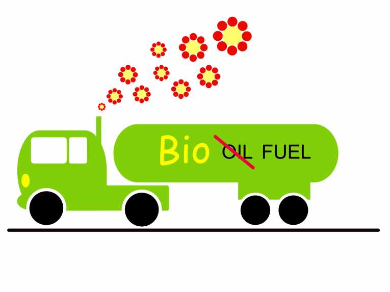 到2050年，生物燃料有望成为交通运输业的燃料