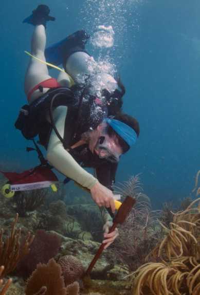 研究团队成员仔细测量礁物种