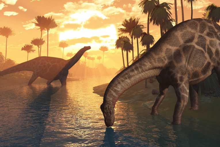 一些恐龙是否在大规模灭绝时生存？
