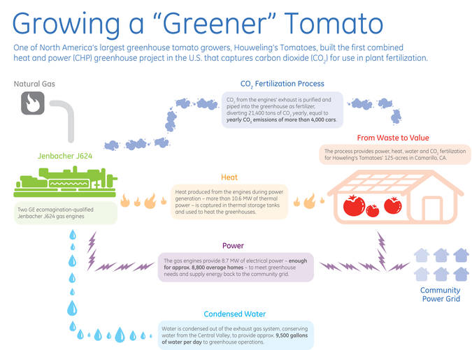 Houweling的番茄公司在美国建立了第一个热电联产温室项目，该项目捕获二氧化碳用于植物施肥。