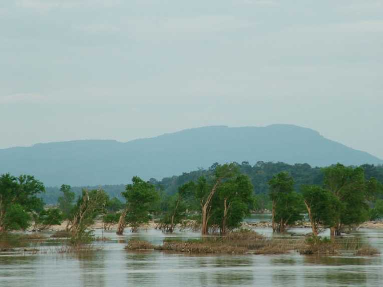 大坝项目威胁湄公河淡水生物多样性