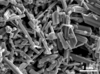用于制造易崔新电池的后电极的二氧化锰纳米棒通过使用新鲜和盐水之间的盐度对比产生功率。