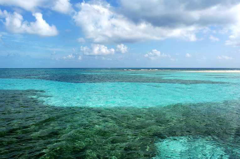 自然灾害对珊瑚礁构成威胁