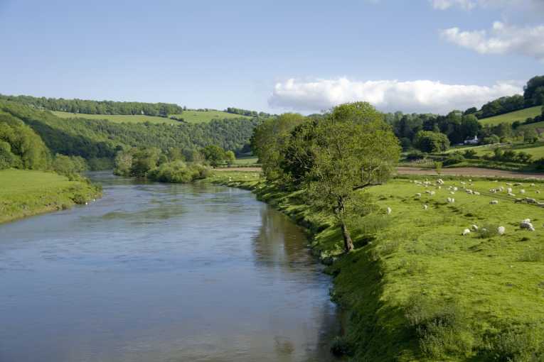 我们的河流竞选推出了调查，以确定野生动物最好的英国河流