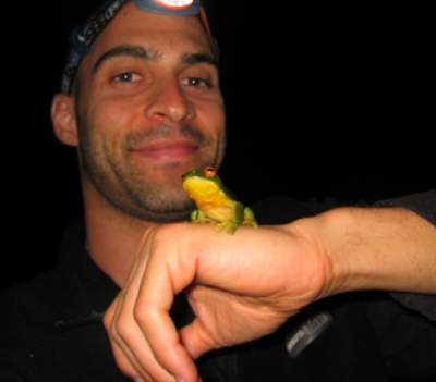 克里·克里格博士拯救了一只青蛙，如果你真的了解青蛙，你就会知道这是一只澳大利亚红眼树蛙