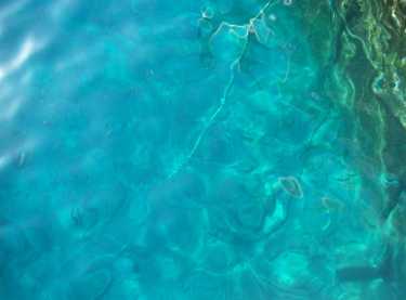 研究发现地中海海洋生物质可能由塑料颗粒主导