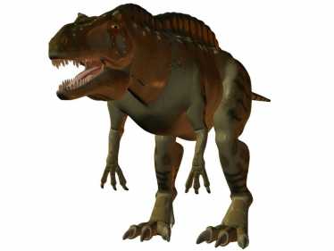 在阿肯色州发现的acrocanthosaurus atokensis dino轨道