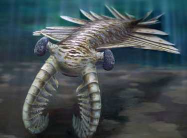 眼部化石证明古海捕食者具有强烈的愿景