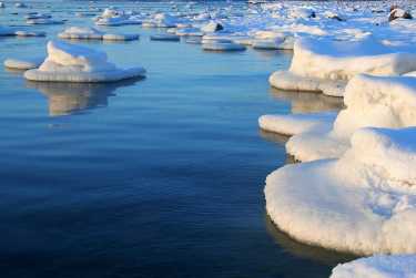 北极海冰的消退新的最低