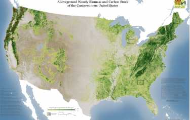 碳计数在美国 - 用地面打破的新生物量图