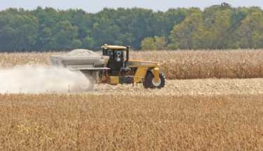 使用较少的肥料可以帮助玉米成为燃料