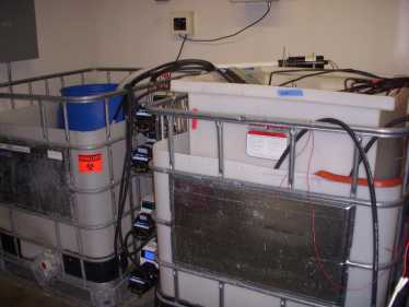 微生物燃料电池 - 环保污水处理 - 校正