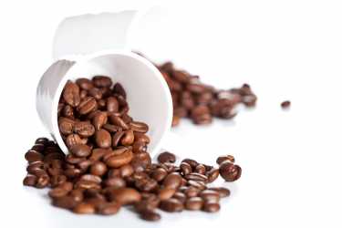 运动和咖啡因的防止皮肤癌'