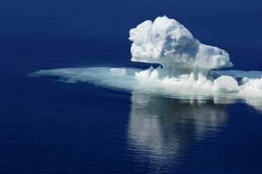 人类活动威胁独特的南极海洋生态系统