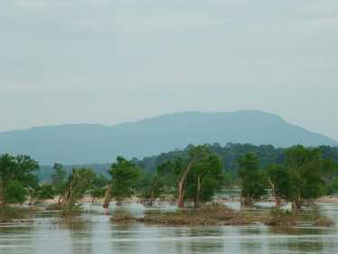 湄公河淡水生物多样性受到大坝项目的威胁