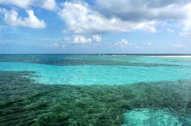 自然灾害对珊瑚礁构成威胁