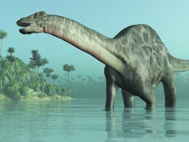 储存矿物质的骨皮帮助巨型恐龙生存