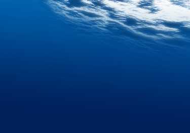 海洋浮游生物的作用在碳封存