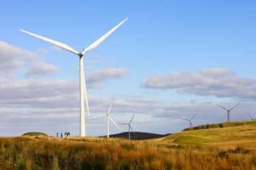 苏格兰政府承诺增加可再生能源在农业部门