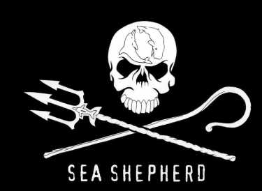 “海洋守护者”袭击日本捕鲸者和“哥斯拉”