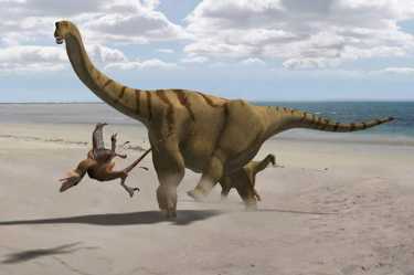 “雷腿恐龙”——一种新发现的恐龙