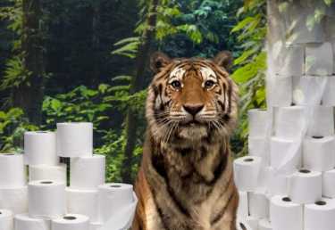 WWF报告将苏门答腊森林砍伐卫生纸联系