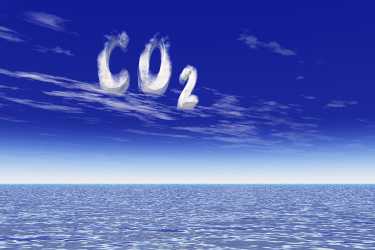 年轻科学家提出新的碳捕获计划-更新