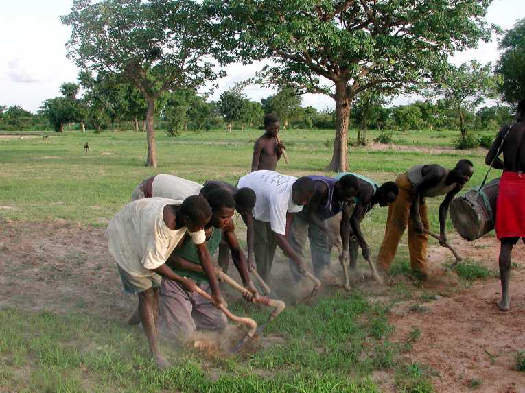 从土壤到云：非洲农民受益于改善的暴雨预测