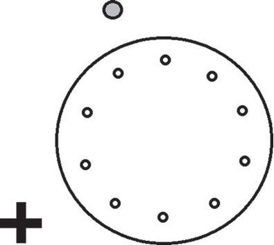 用于测试侧面涂层蜥蜴（UTA Stansbuiana）中的空间记忆能力的Barnes迷宫，以允许空间导航，圆形（灰色）和“1”（黑色）形式的线索位于相邻的墙壁上（距离Barnes迷宫孔的中心至少30厘米，在迷宫平面上方15.24厘米）。测试室的门也可能被用作潜在的视觉提示